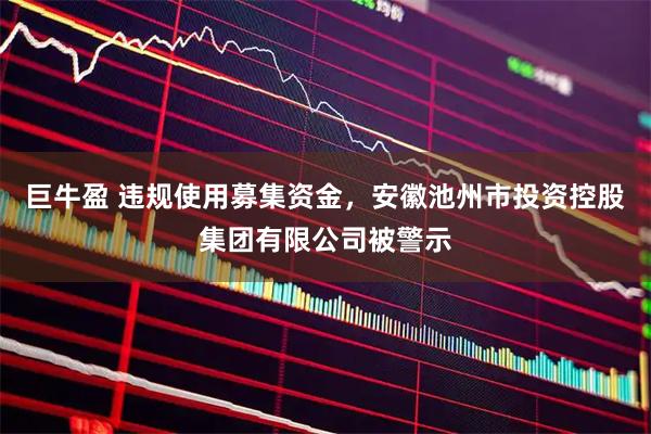 巨牛盈 违规使用募集资金，安徽池州市投资控股集团有限公司被警示