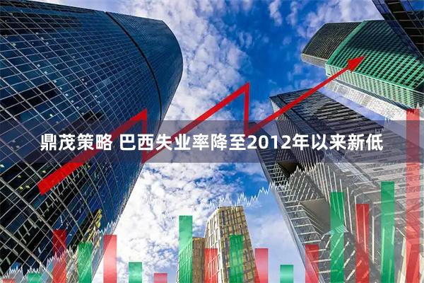 鼎茂策略 巴西失业率降至2012年以来新低