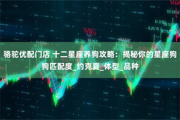 骆驼优配门店 十二星座养狗攻略：揭秘你的星座狗狗匹配度_约克夏_体型_品种
